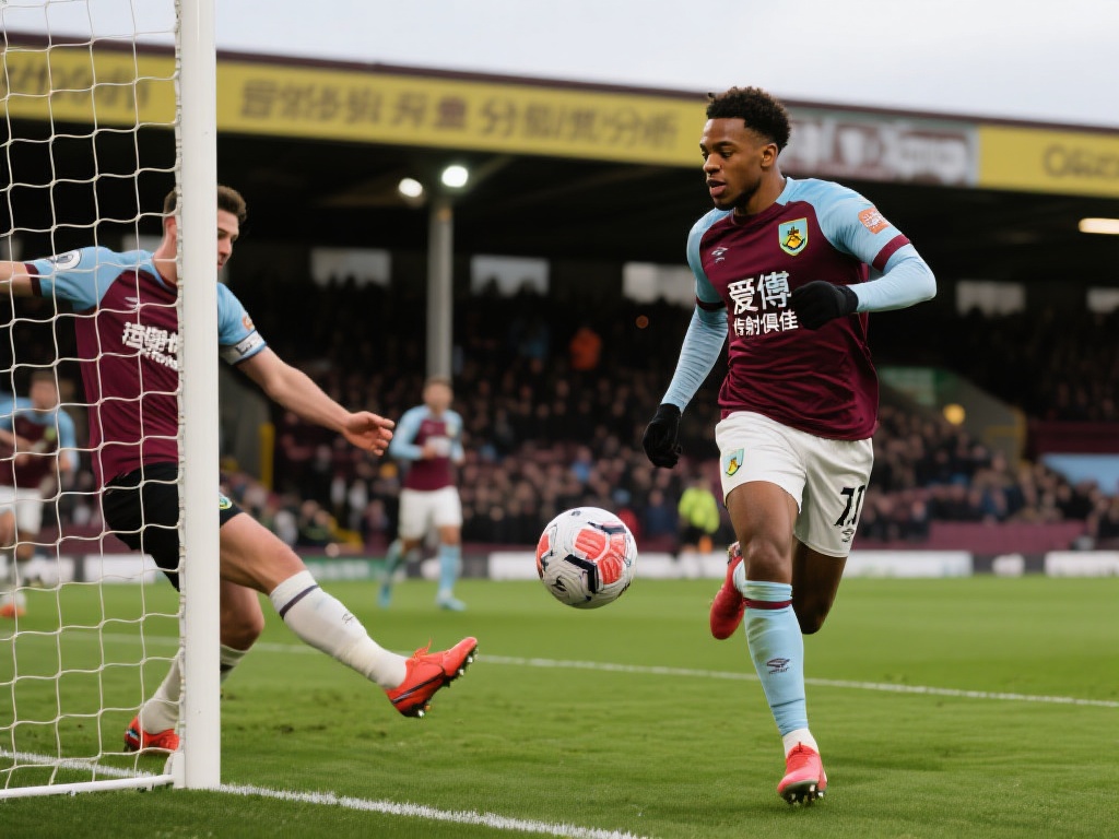 都将成为人 都将成为人