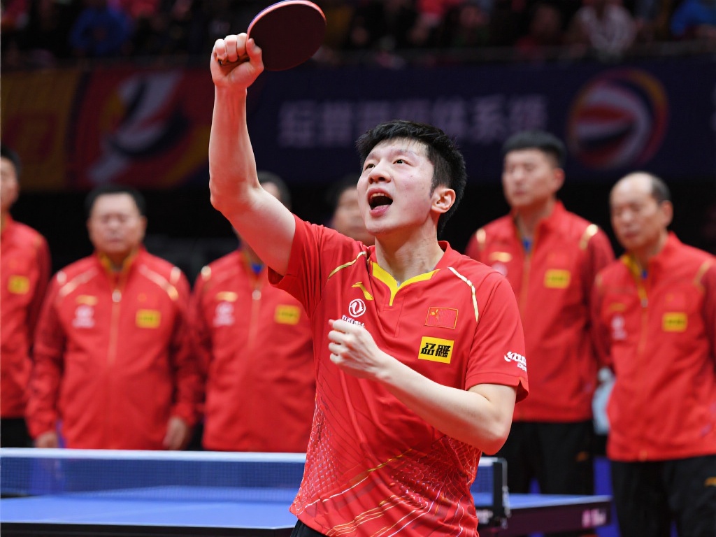 职业发展的 职业发展的